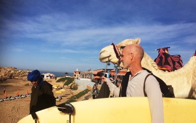 Push up board benefits – for surfers?