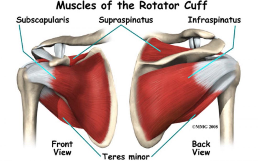 rotator cuff muscle training with Indian Clubs