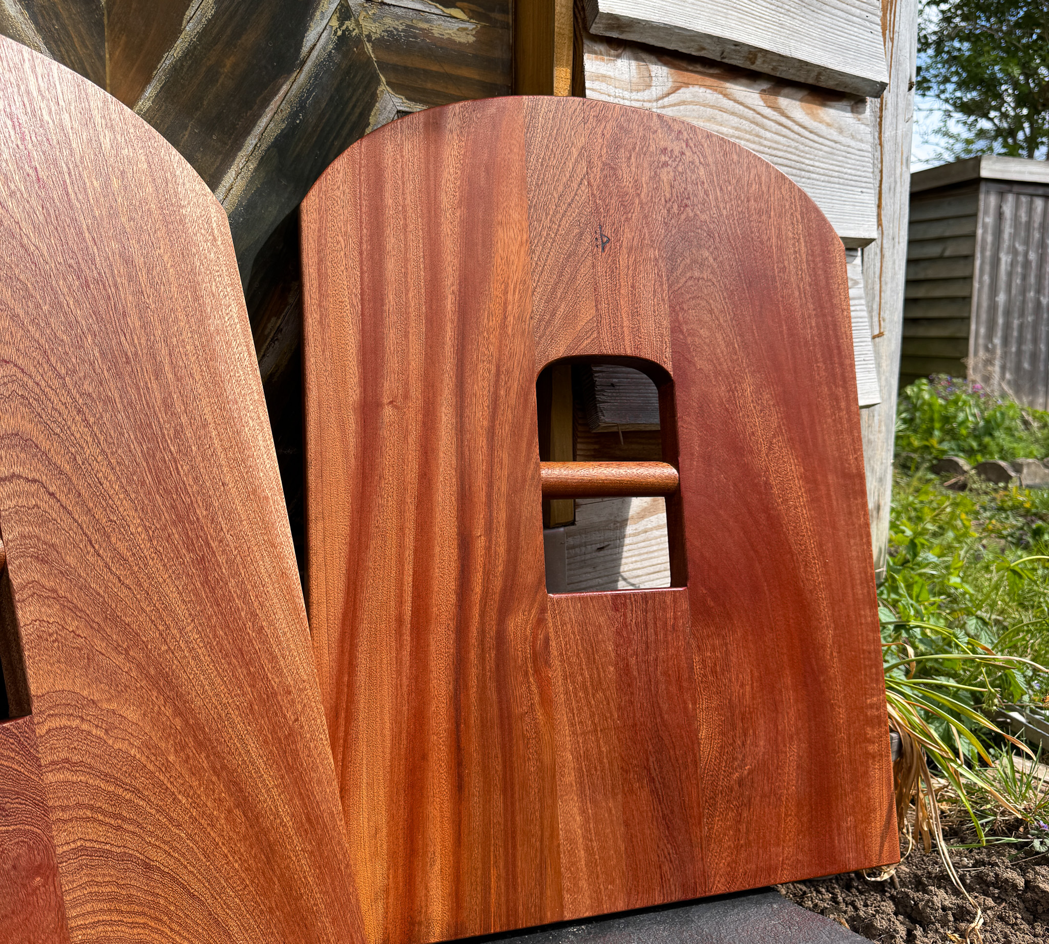 close-up-of-persian-sang-shields-in-garden